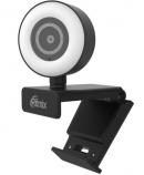 Веб-камера Ritmix RVC-250, черный